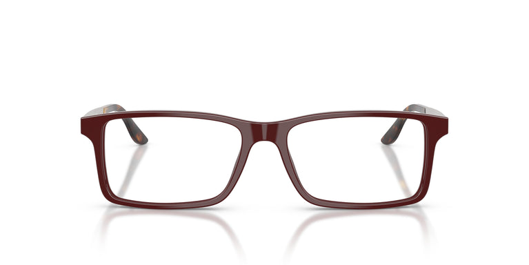 Ralph Lauren RL6128 6311 53