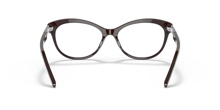 Ralph Lauren RL6216U  5855 53