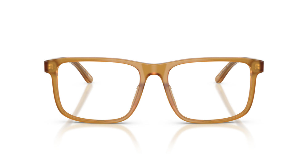 Ralph Lauren RL6225U 5275 54