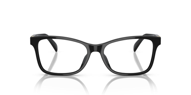 Ralph Lauren RL6233U  5001 52