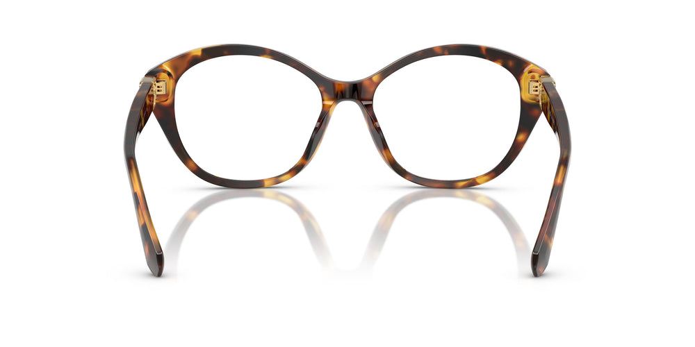 Ralph Lauren RL6246U  5134 53
