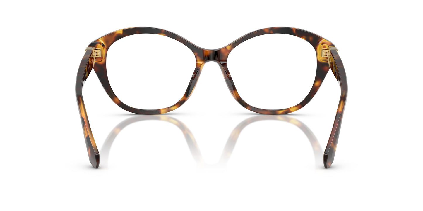 Ralph Lauren RL6246U  5134 55