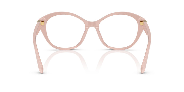 Ralph Lauren RL6246U  6053 55