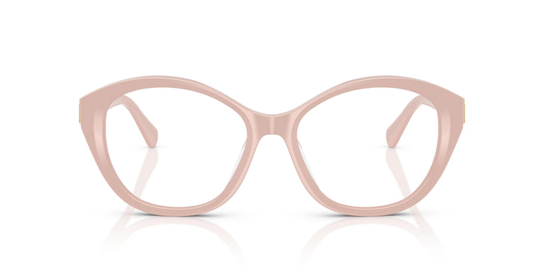 Ralph Lauren RL6246U  6053 55