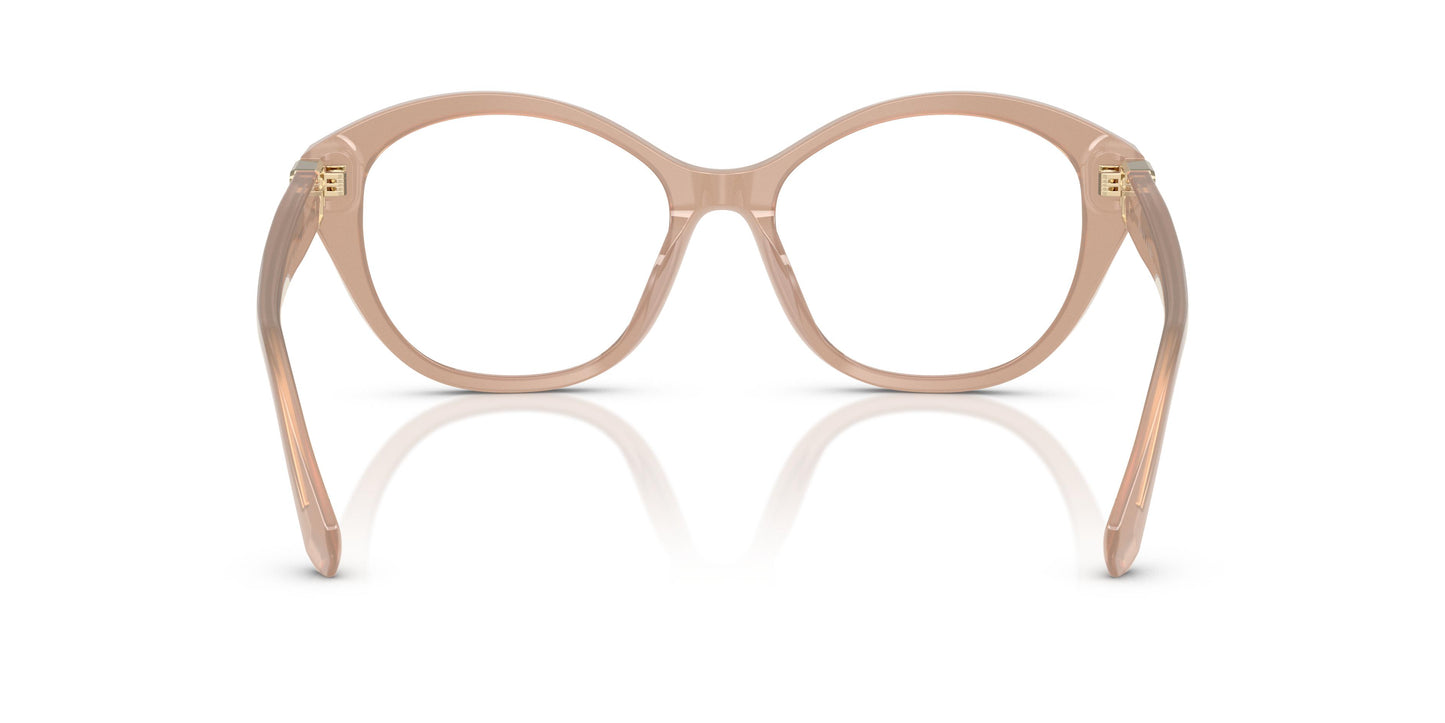 Ralph Lauren RL6246U  6217 53