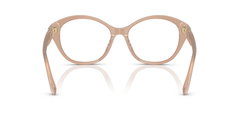 Ralph Lauren RL6246U  6217 53
