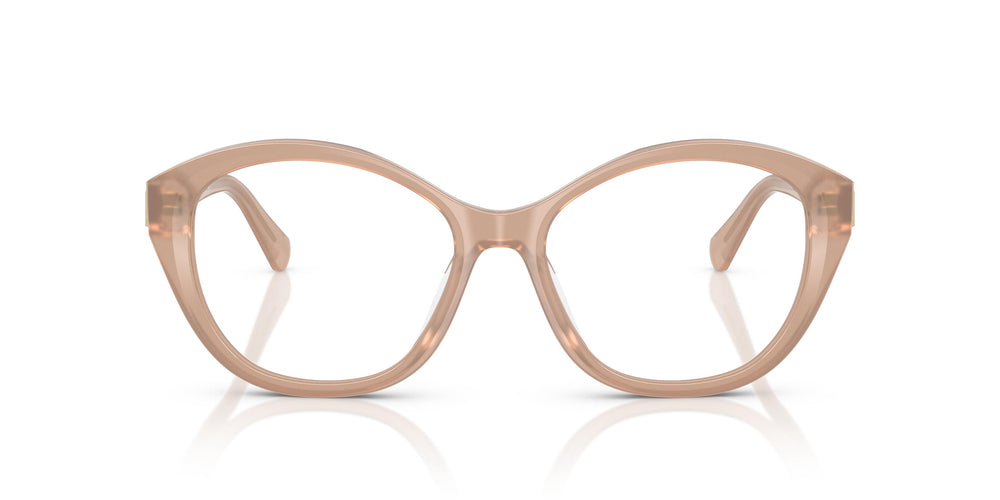 Ralph Lauren RL6246U  6217 53