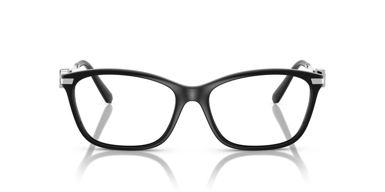 Ralph Lauren RL6247U  5001 55