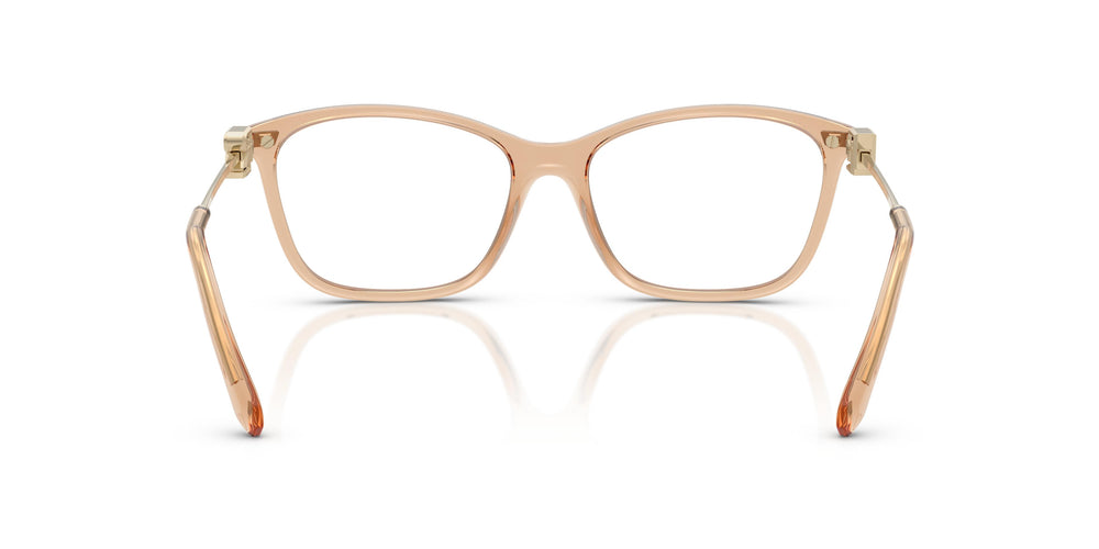 Ralph Lauren RL6247U  6205 55