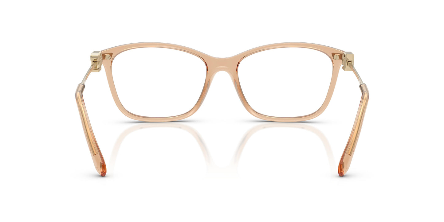 Ralph Lauren RL6247U  6205 55