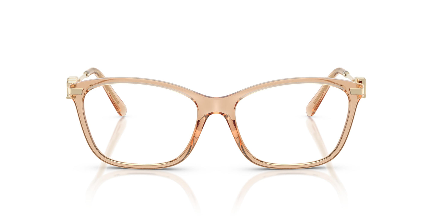 Ralph Lauren RL6247U  6205 55