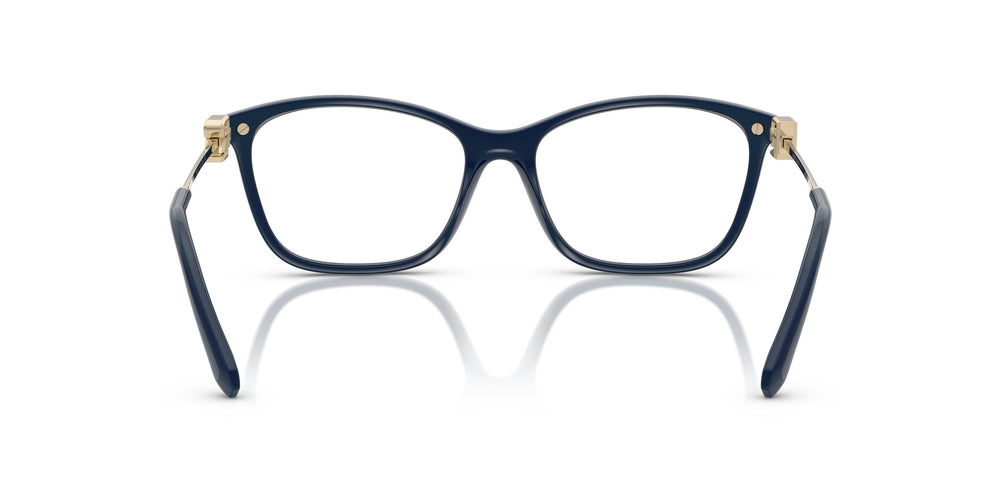 Ralph Lauren RL6247U  6215 55