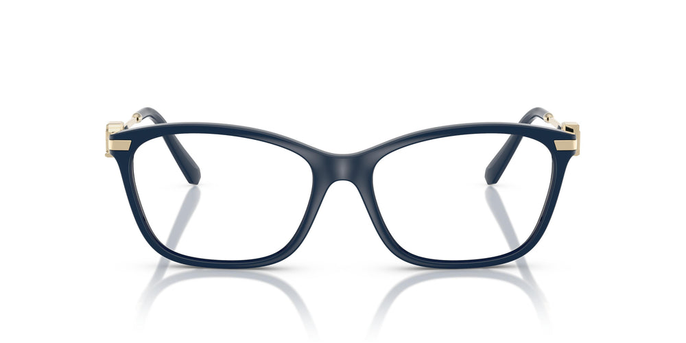 Ralph Lauren RL6247U  6215 55