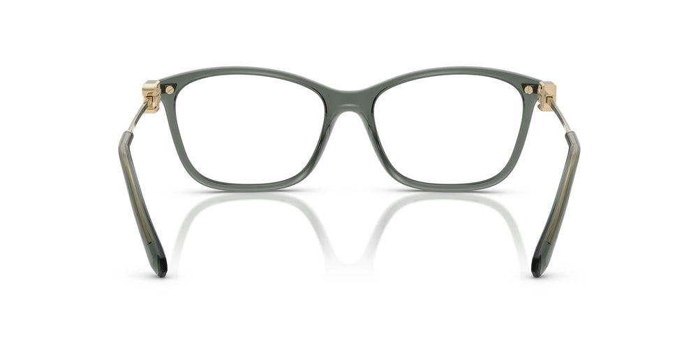 Ralph Lauren RL6247U  6216 55