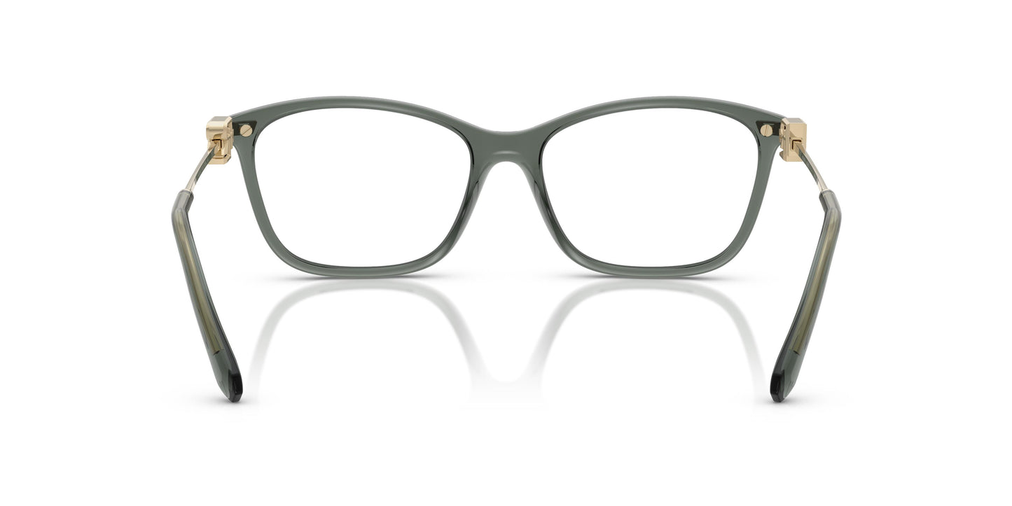 Ralph Lauren RL6247U  6216 53