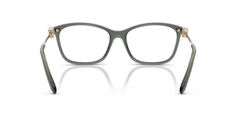 Ralph Lauren RL6247U  6216 53