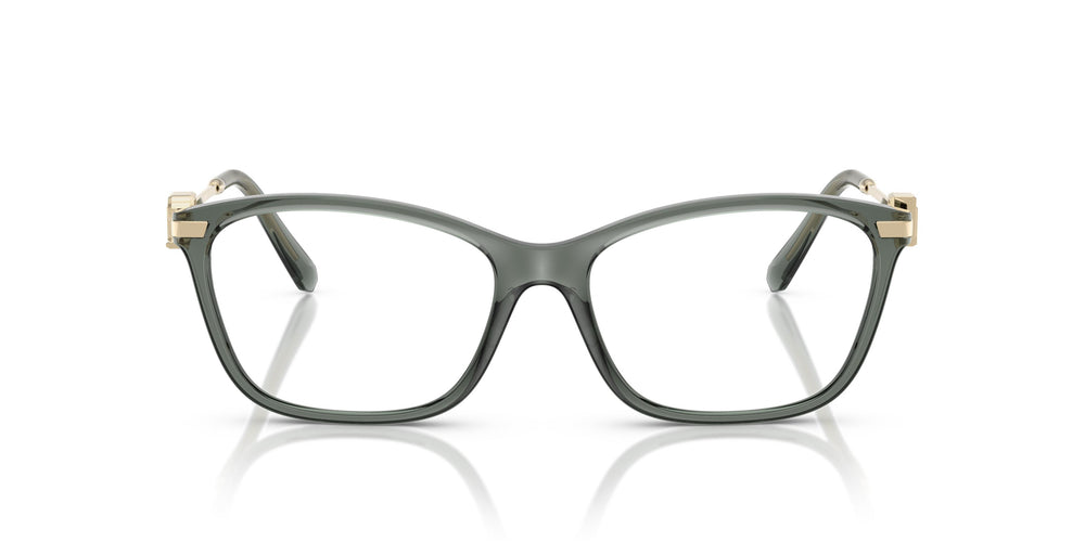 Ralph Lauren RL6247U  6216 55