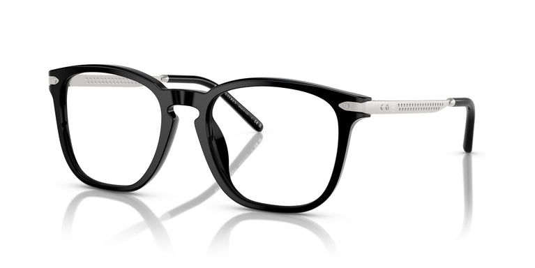 Ralph Lauren RL6248U  5001 54