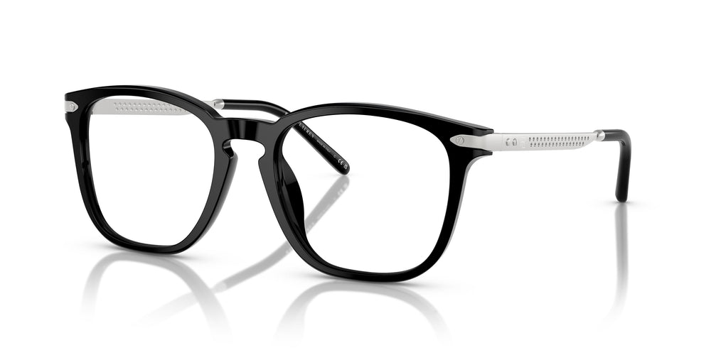 Ralph Lauren RL6248U  5001 52