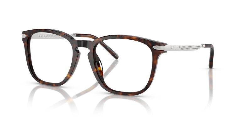 Ralph Lauren RL6248U  5003 52