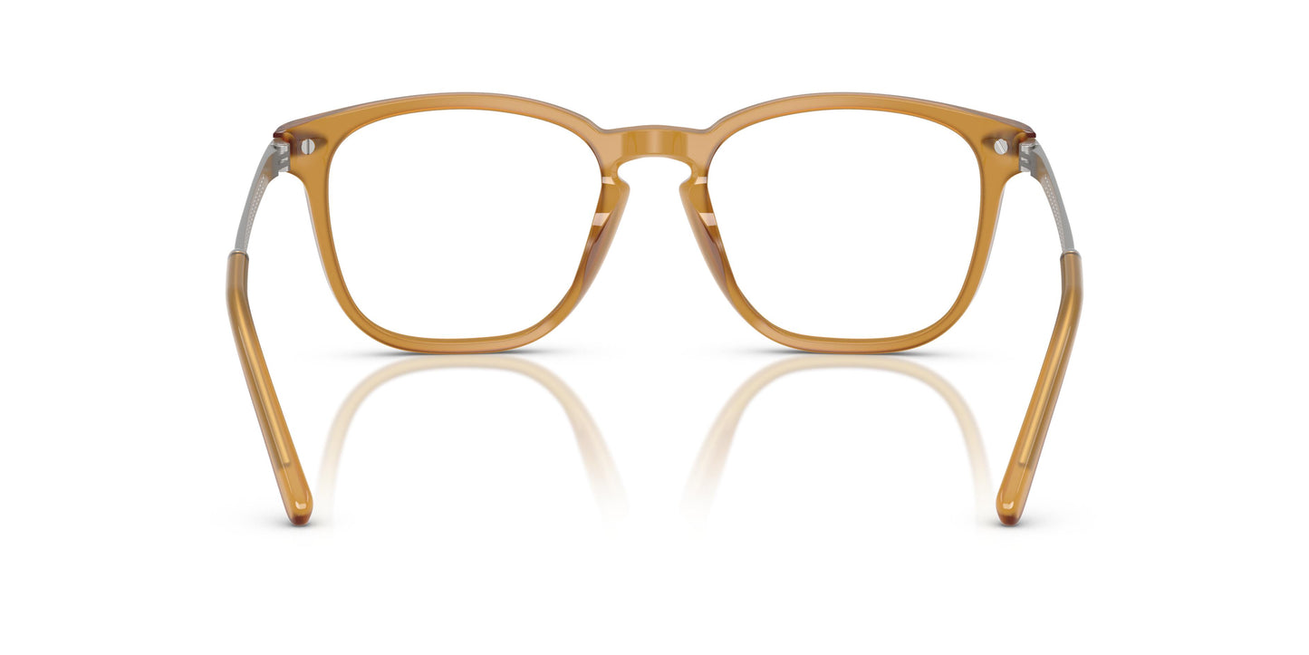 Ralph Lauren RL6248U  5275 54
