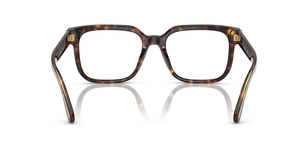 Ralph Lauren RL6249U  5003 53