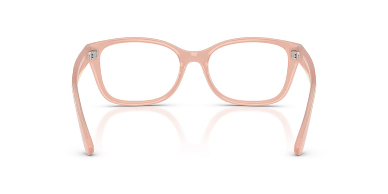 Ralph Lauren RL6252U  6246 53