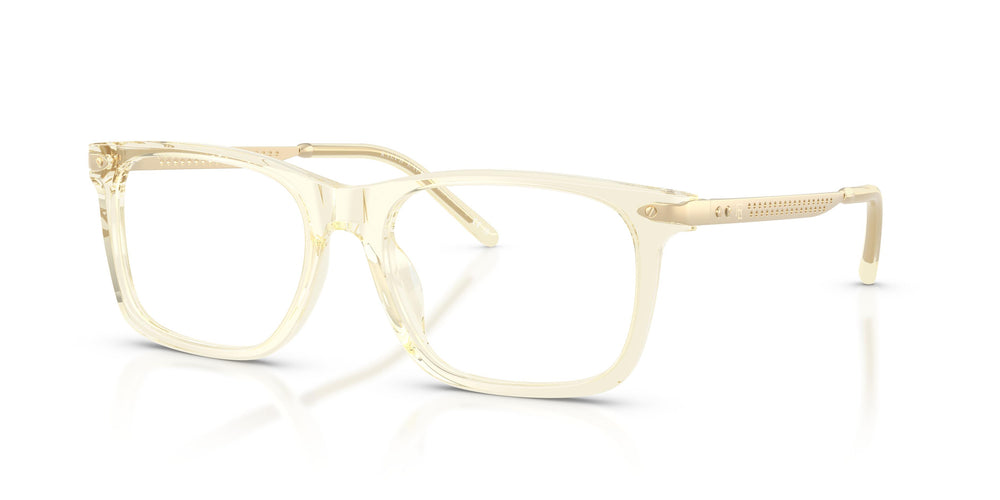 Ralph Lauren RL6253U  5034 53