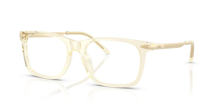 Ralph Lauren RL6253U  5034 53