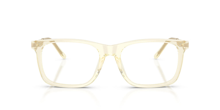 Ralph Lauren RL6253U  5034 53