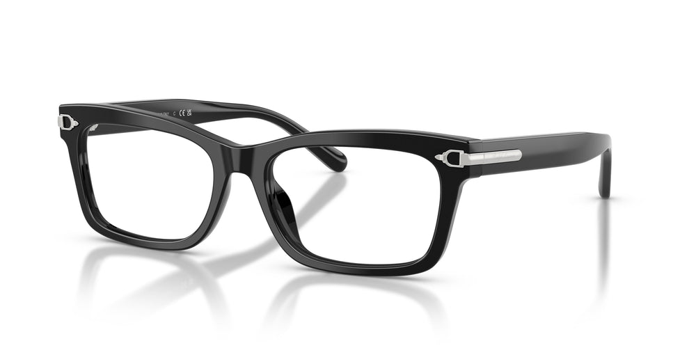 Ralph Lauren RL6255U 5001 55