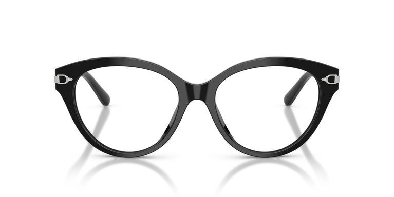 Ralph Lauren RL6256U 5001 53