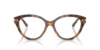 Ralph Lauren RL6256U 6089 53