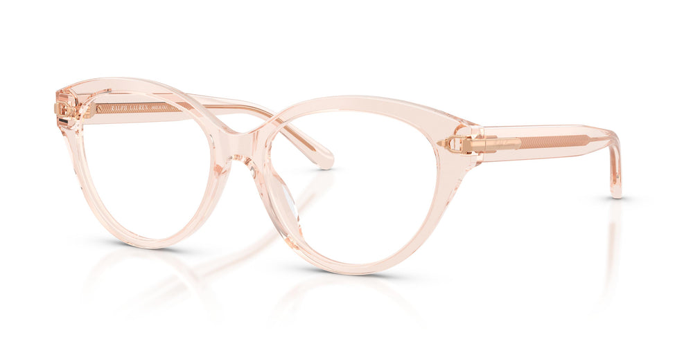 Ralph Lauren RL6256U 6305 53