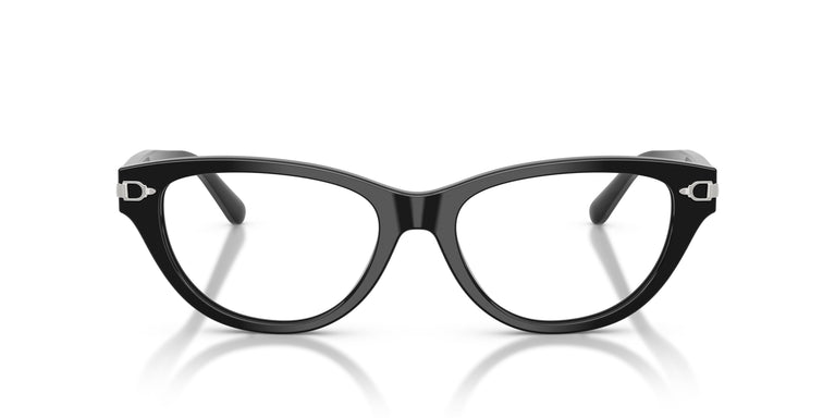 Ralph Lauren RL6257U 5001 54