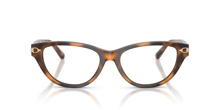 Ralph Lauren RL6257U 6089 54