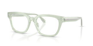 Ralph Lauren RL6258U 6308 54