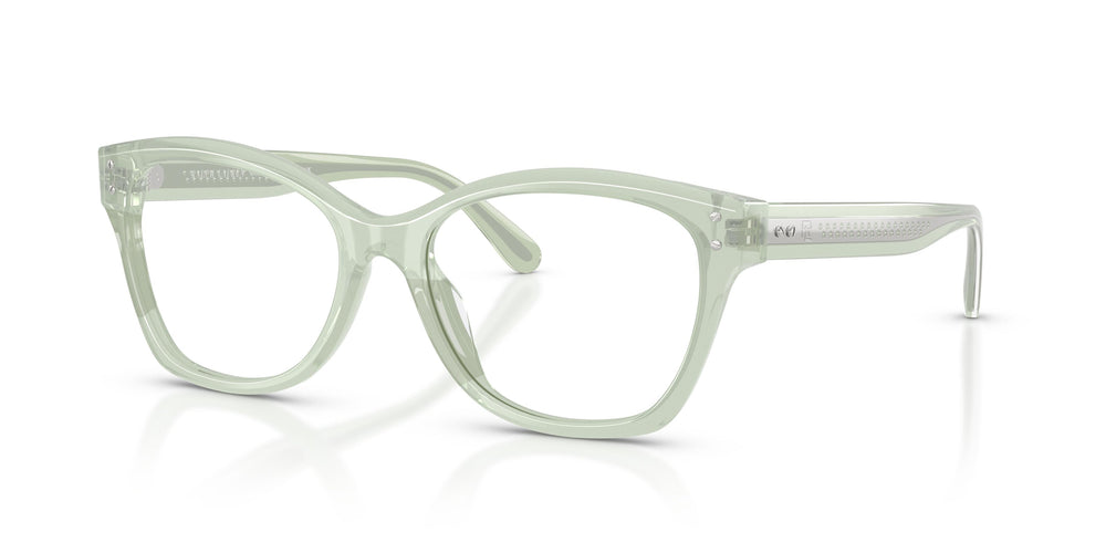 Ralph Lauren RL6259U 6308 53