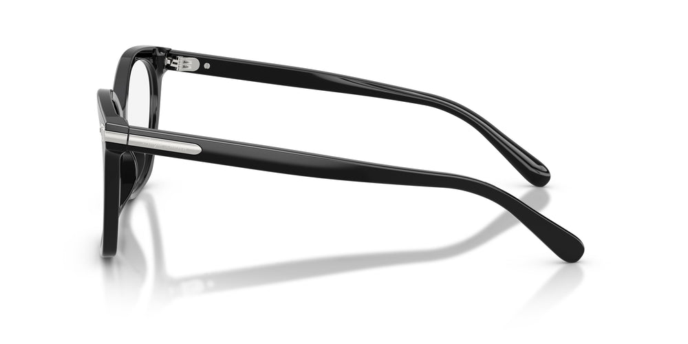 Ralph Lauren RL6266U 5001 53