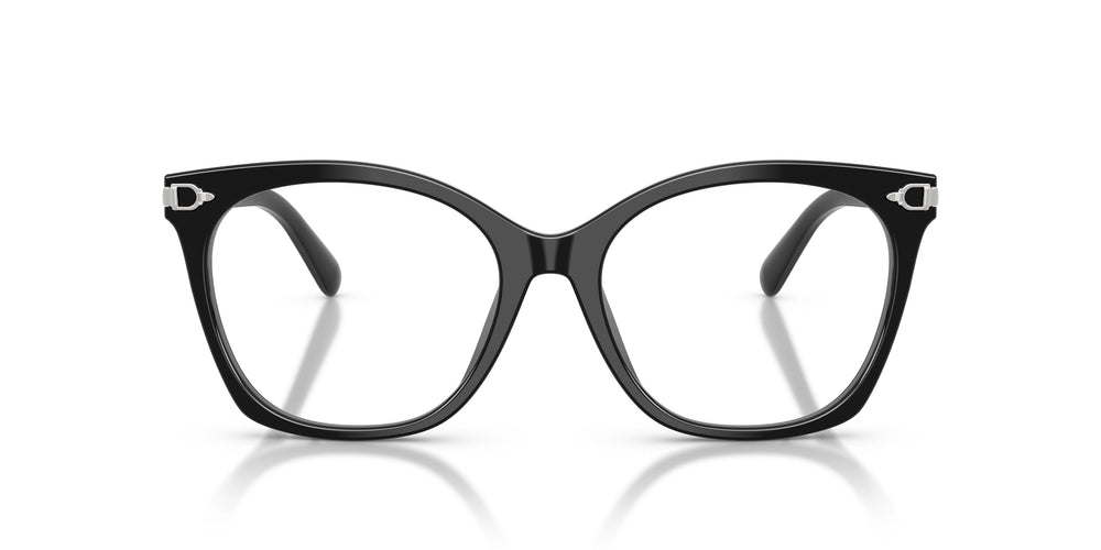Ralph Lauren RL6266U 5001 53