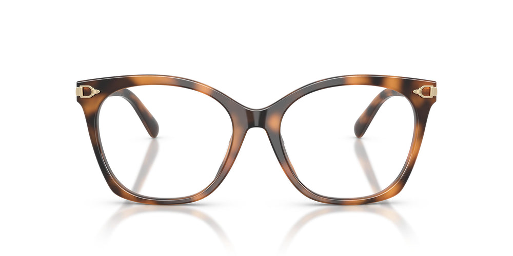 Ralph Lauren RL6266U 6089 55