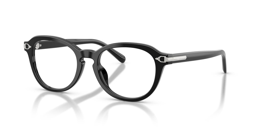 Ralph Lauren RL6267U 5001 50
