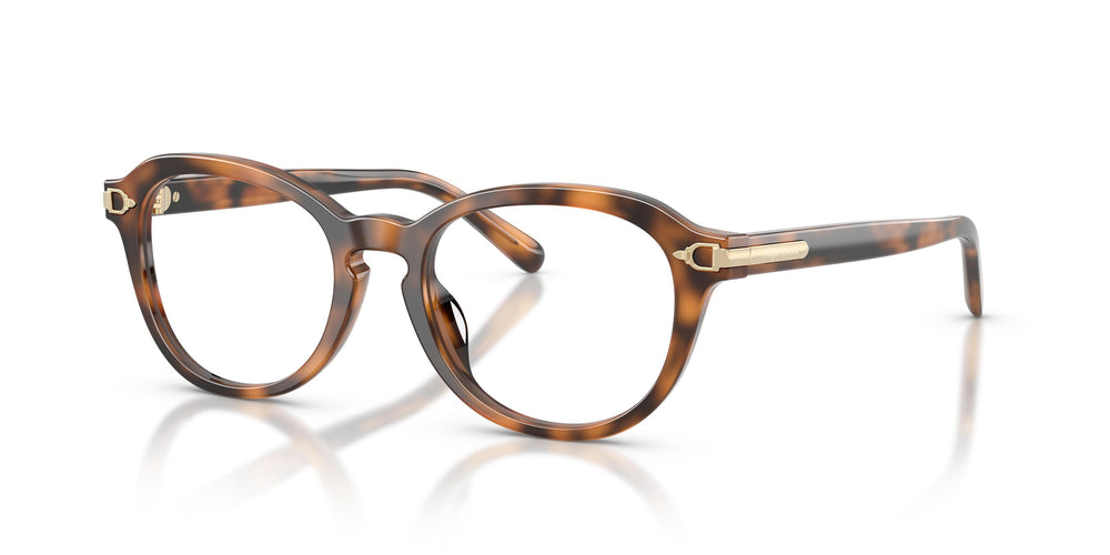 Ralph Lauren RL6267U 6089 50