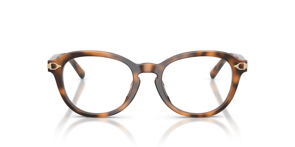 Ralph Lauren RL6267U 6089 50