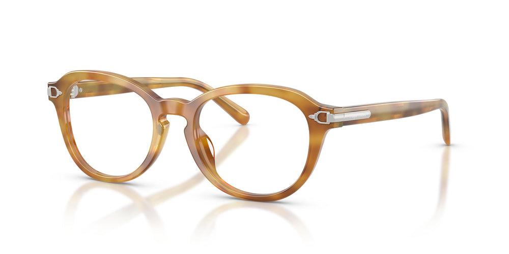 Ralph Lauren RL6267U 6185 50