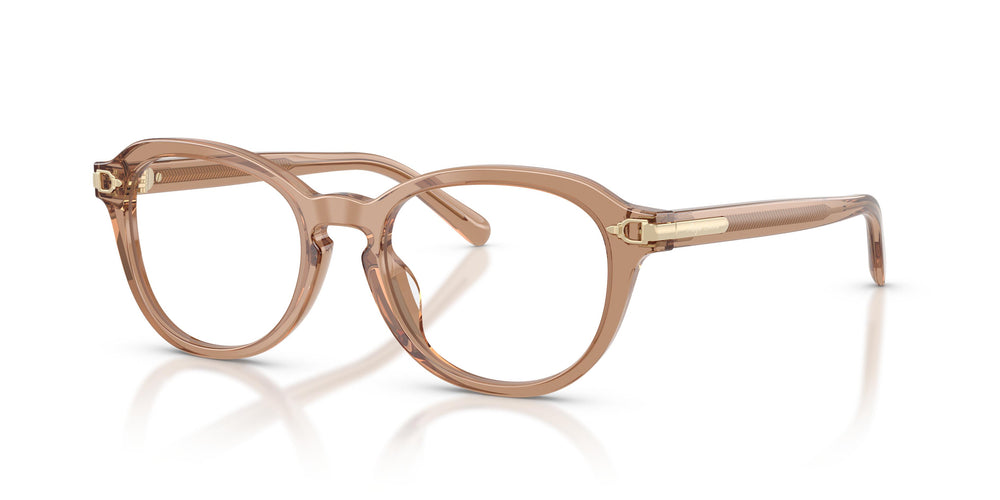 Ralph Lauren RL6267U 6377 50