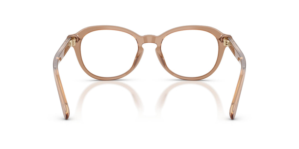 Ralph Lauren RL6267U 6377 50