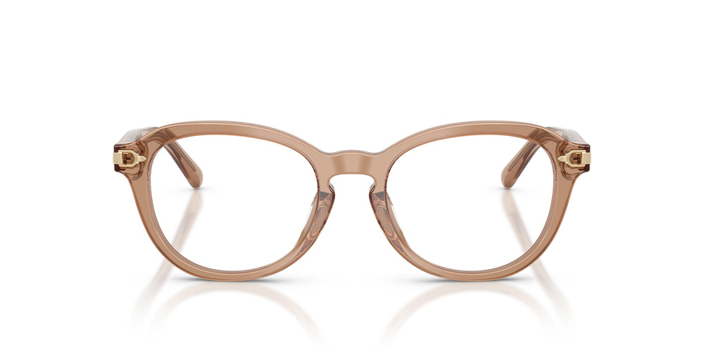 Ralph Lauren RL6267U 6377 50