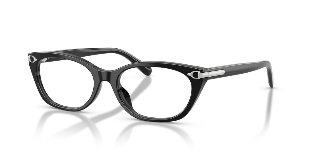 Ralph Lauren RL6268U 5001 51