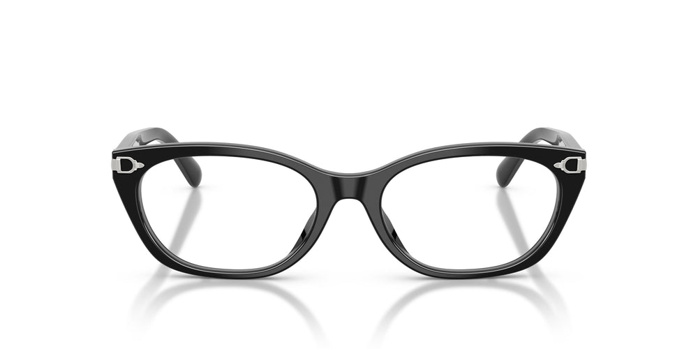 Ralph Lauren RL6268U 5001 53